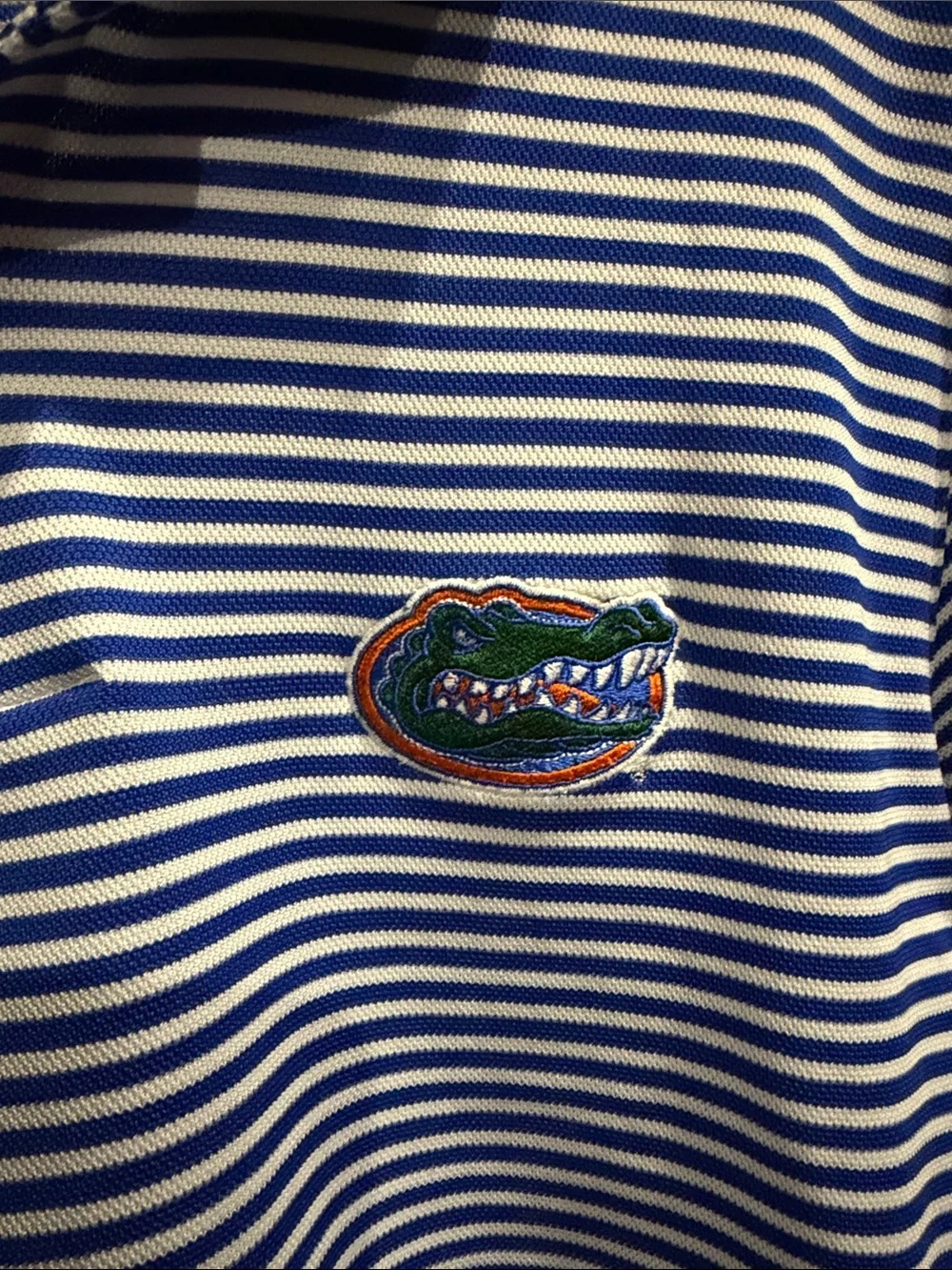 Nike standard fit Florida Gators Striped Polo Shirt